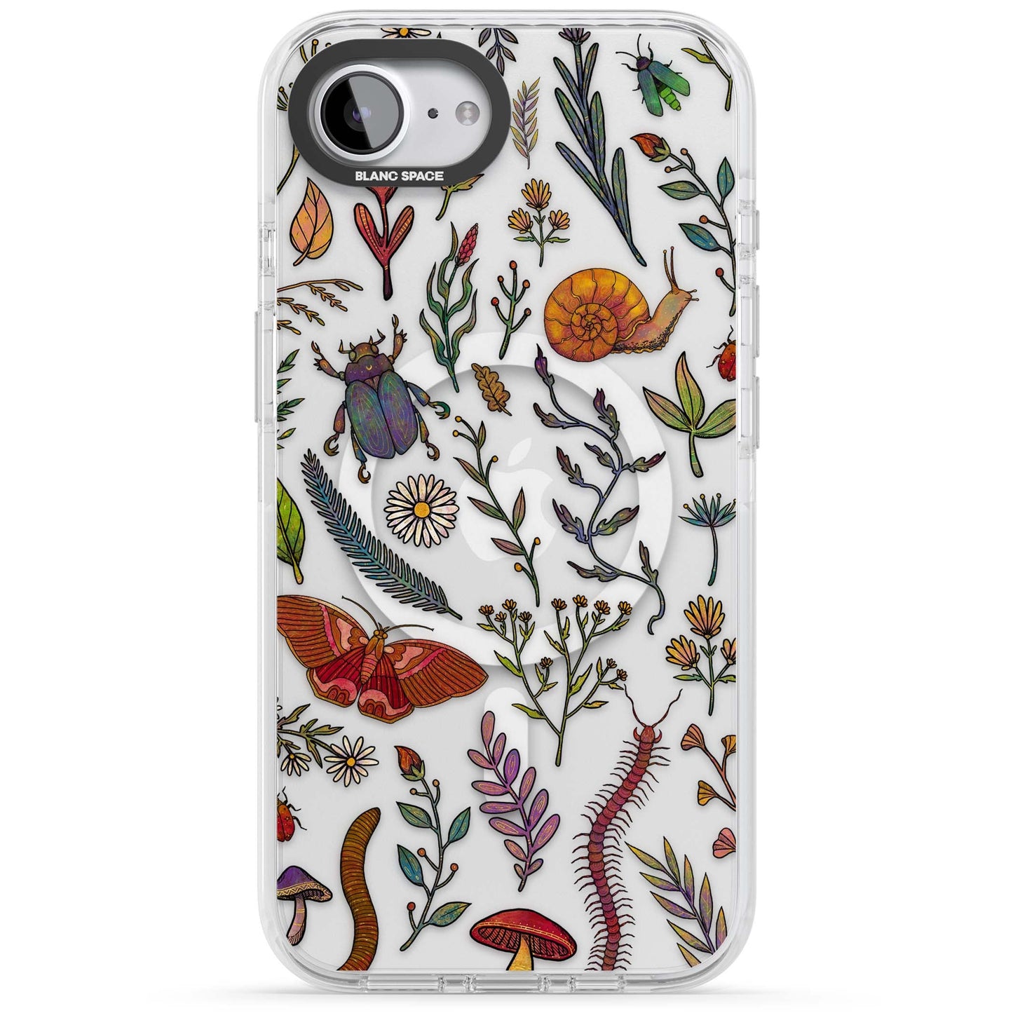 Insectes et fleurs sauvages