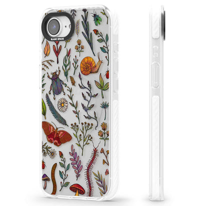 Insectes et fleurs sauvages