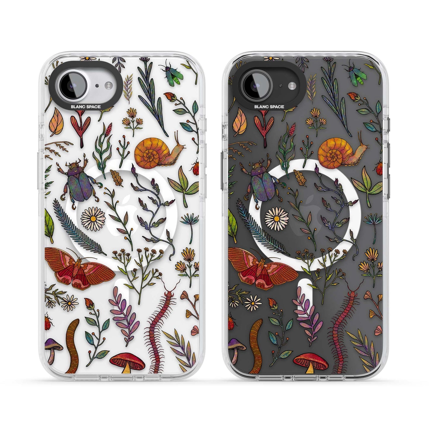 Insectes et fleurs sauvages