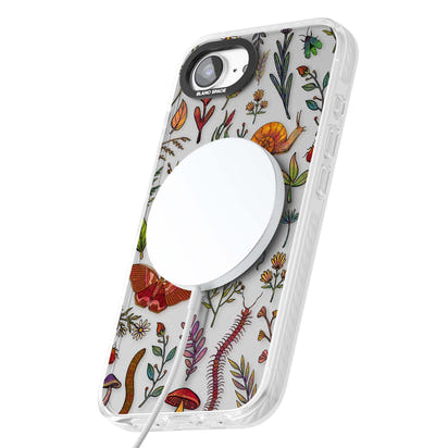 Insectes et fleurs sauvages