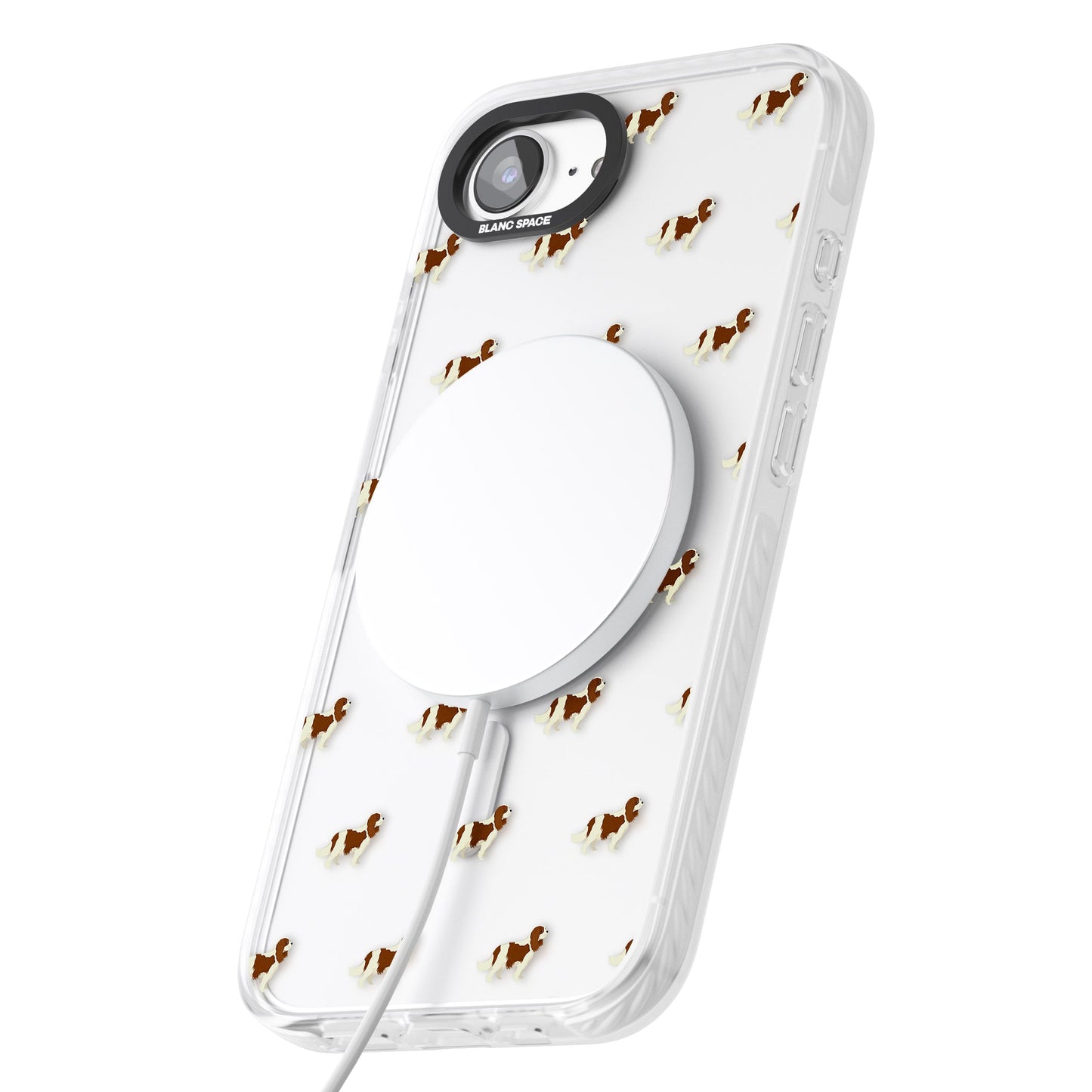 Cavalier King Charles Hundemuster