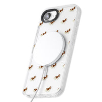 Cavalier King Charles Hundemuster