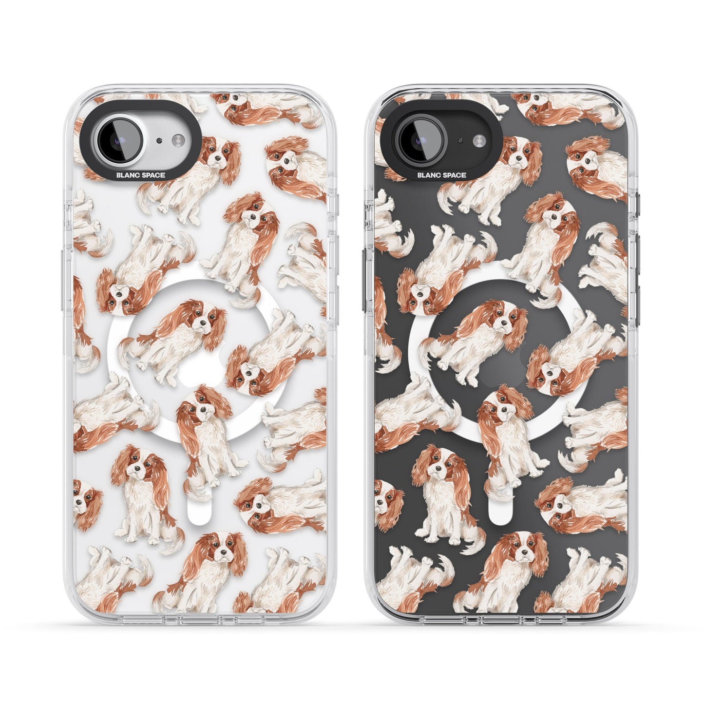 Cavalier King Charles Spaniel