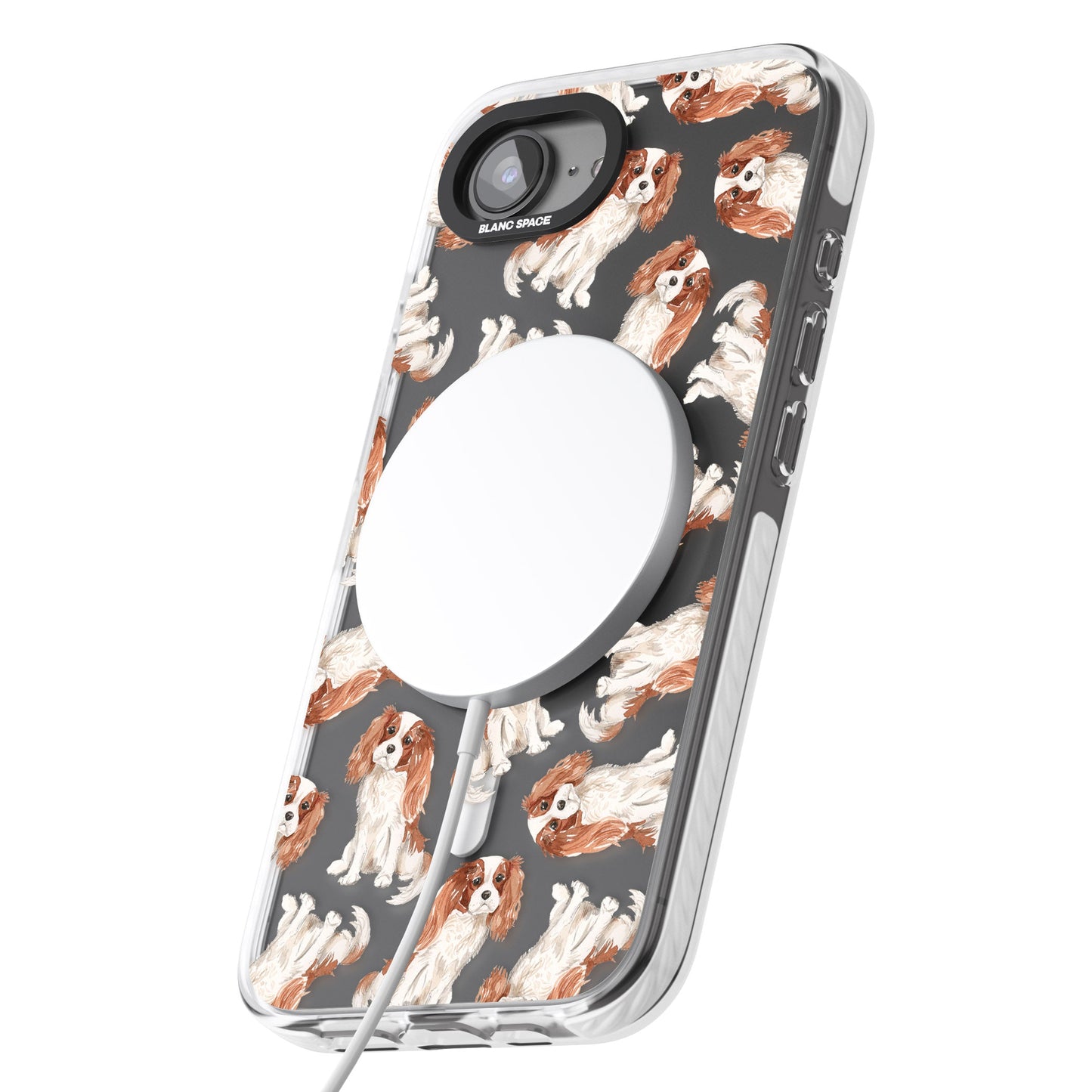 Cavalier King Charles Spaniel