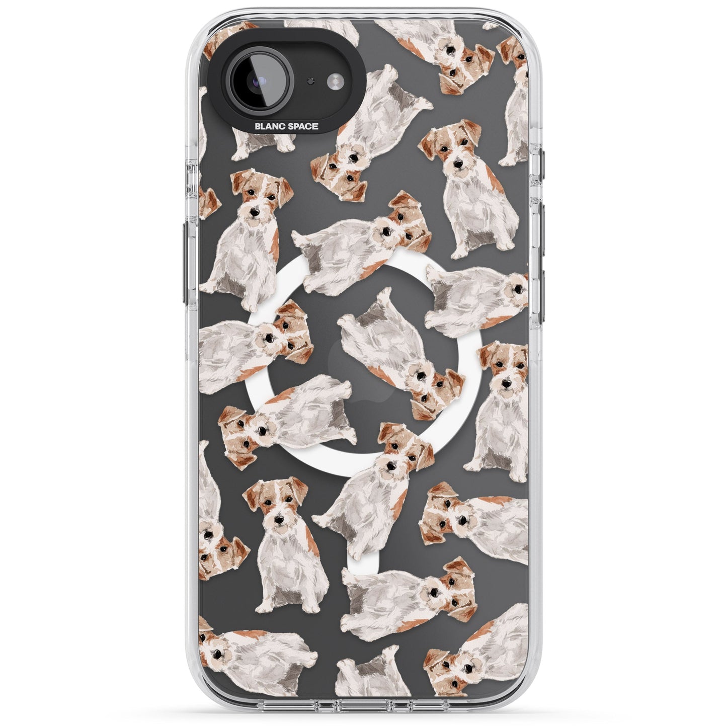 Jack Russell à poil dur fantaisiste