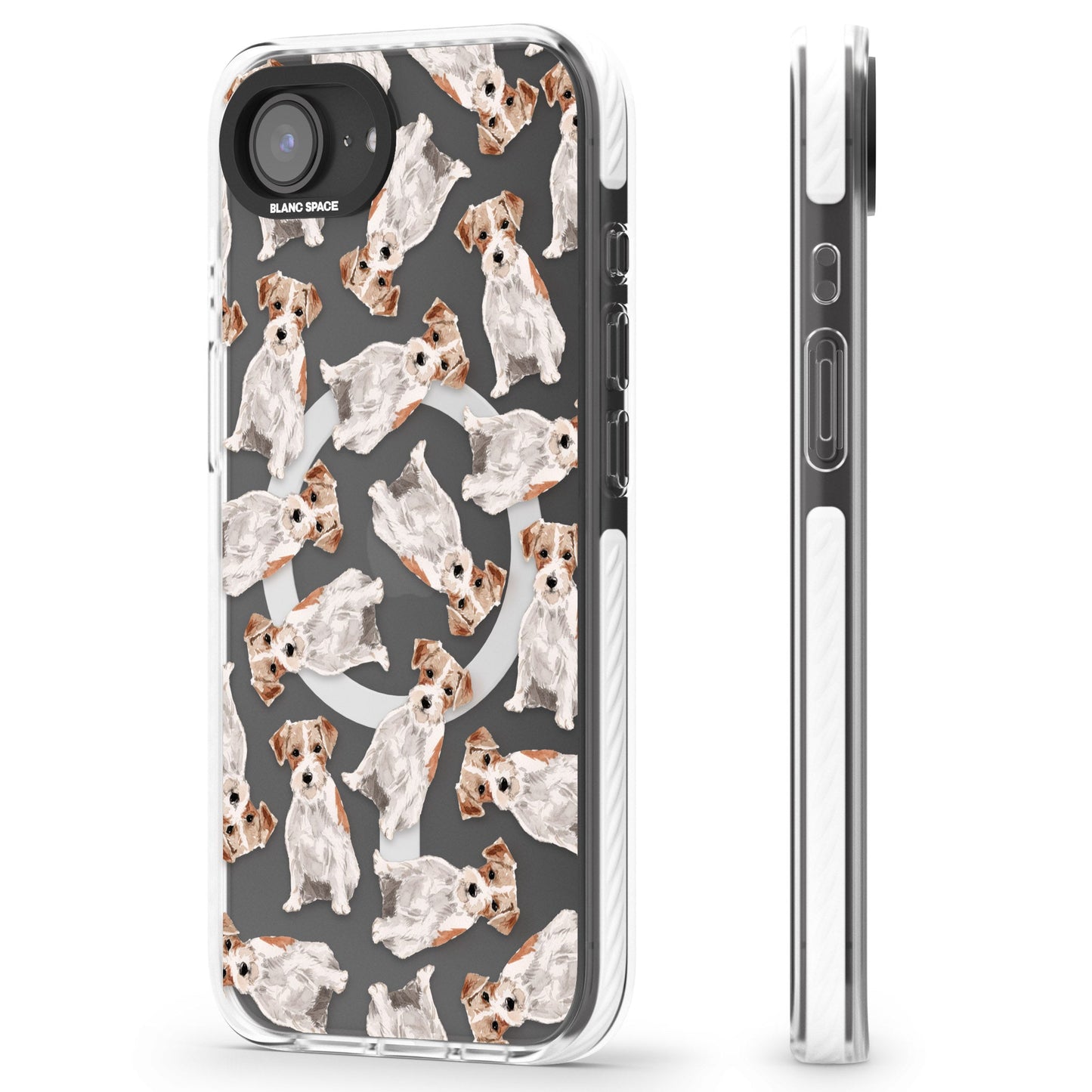 Jack Russell à poil dur fantaisiste