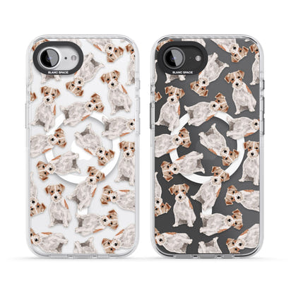 Jack Russell à poil dur fantaisiste