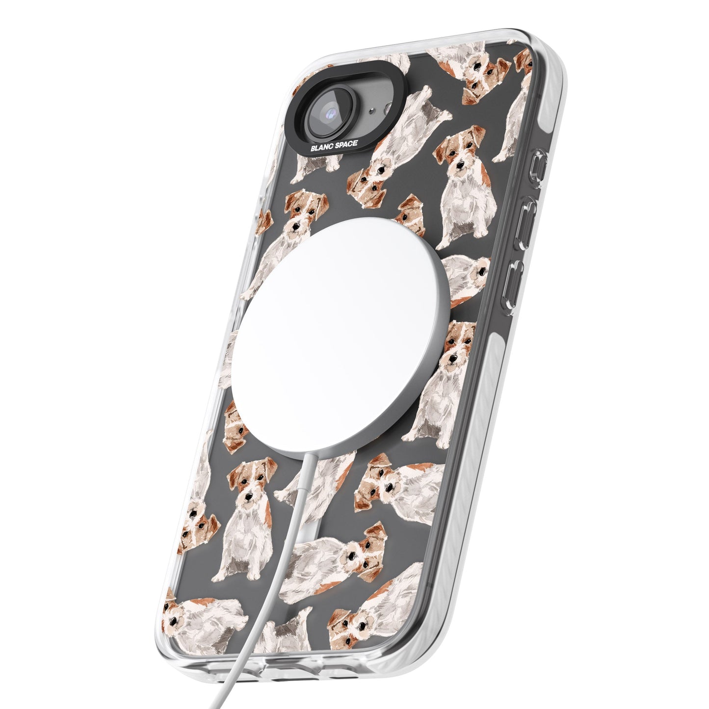 Jack Russell à poil dur fantaisiste