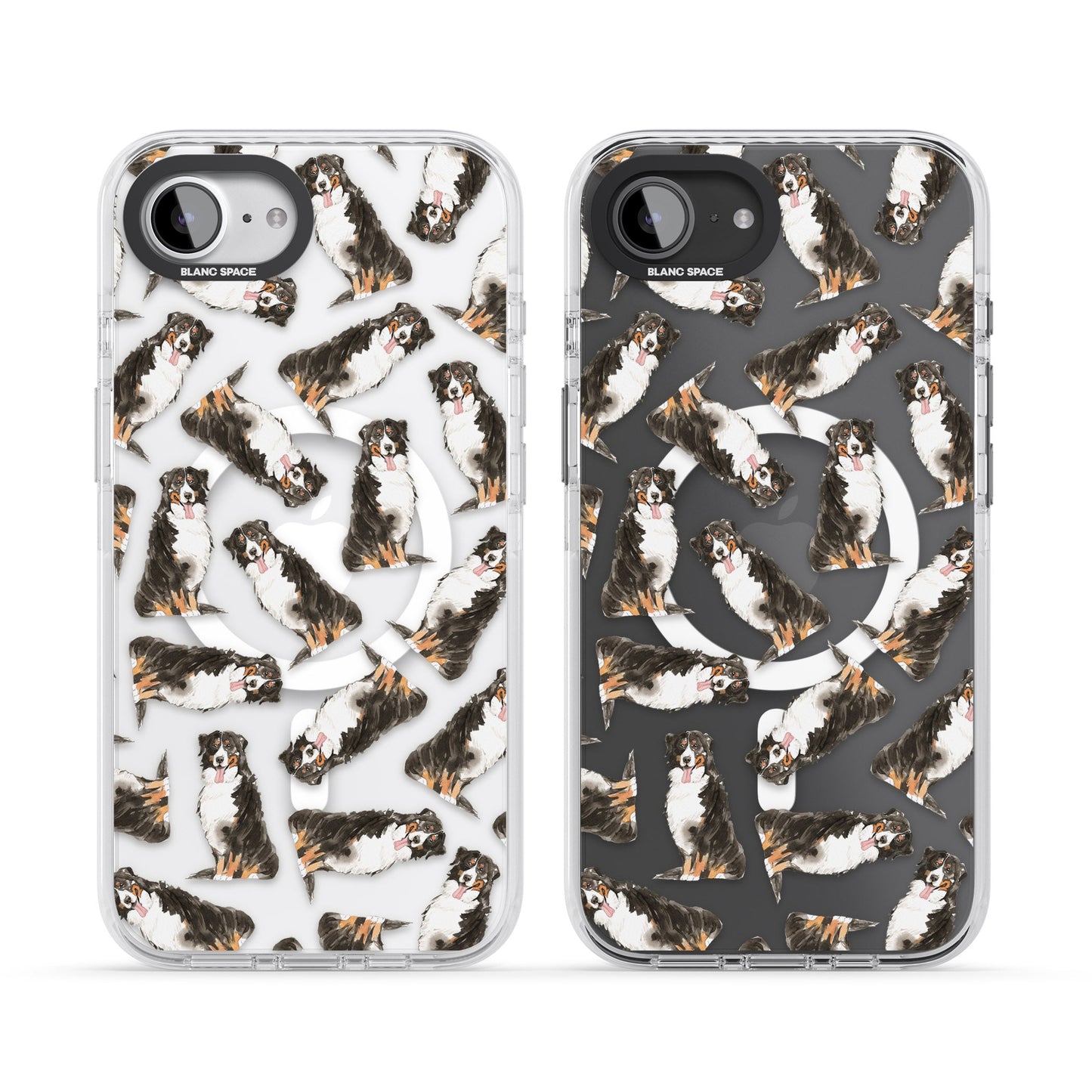 Motif du Bouvier Bernois