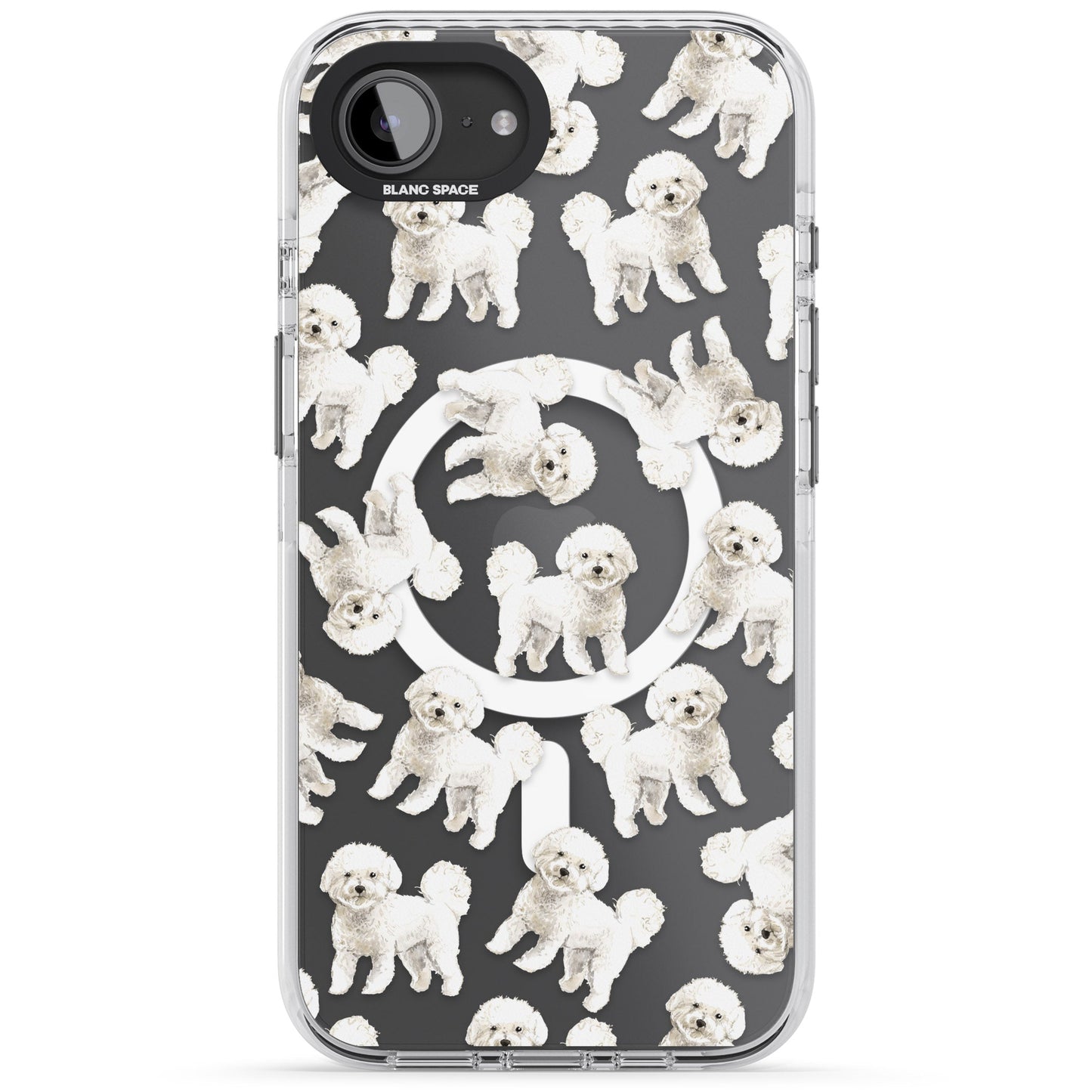 Bichon frisé aquarelle