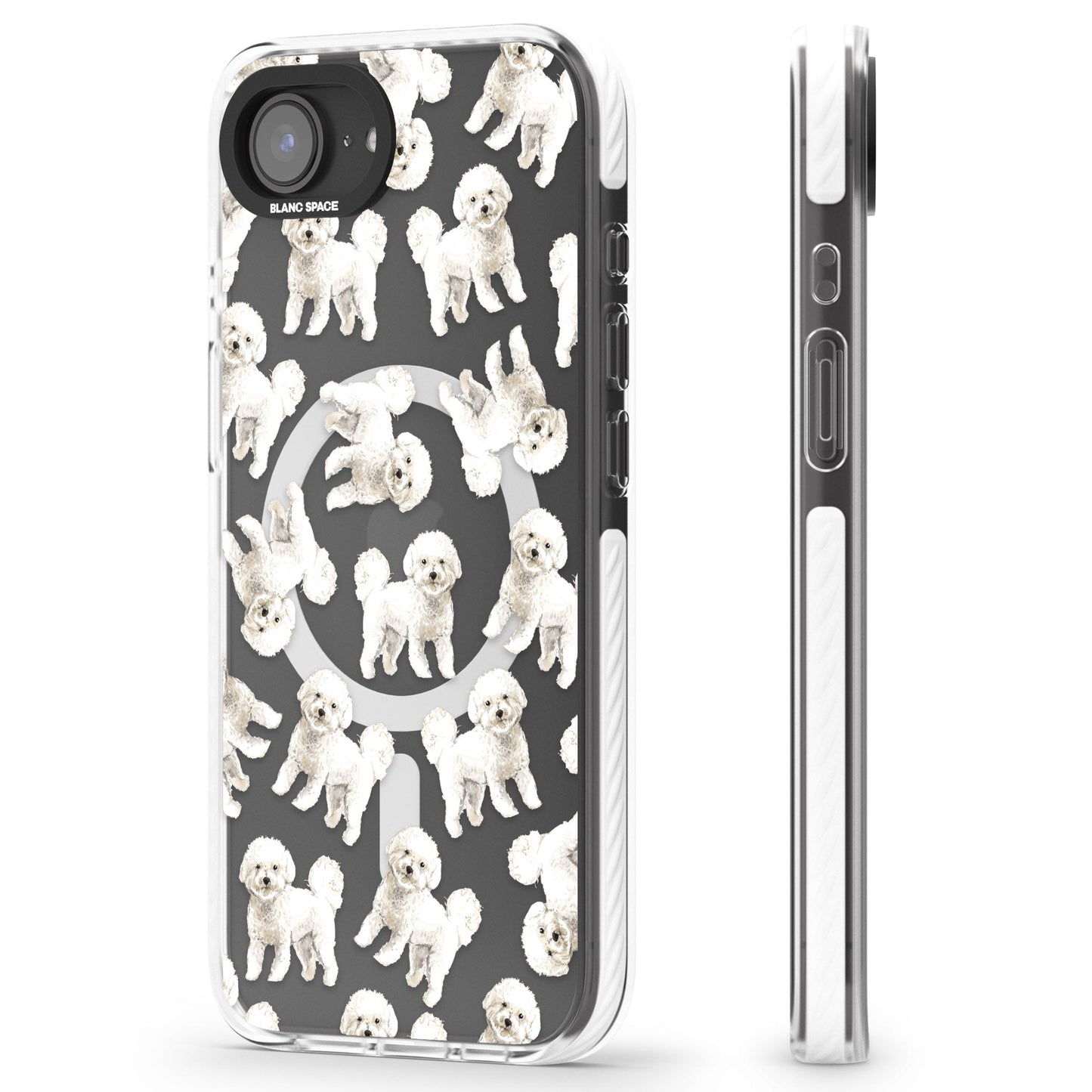 Bichon frisé aquarelle