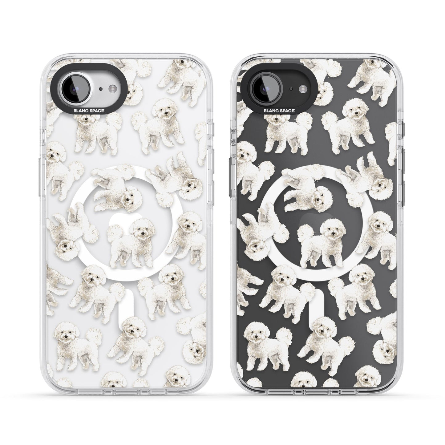 Bichon frisé aquarelle