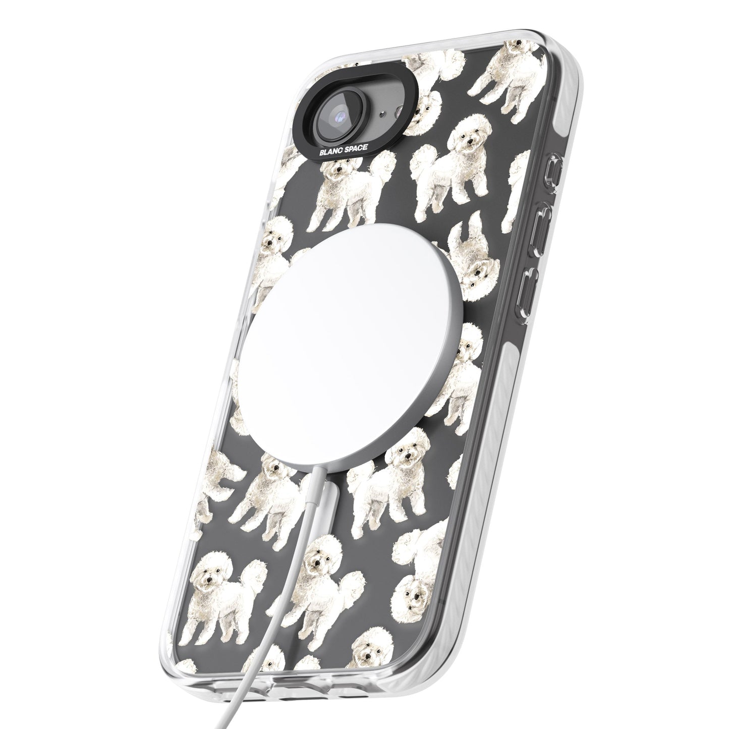 Bichon frisé aquarelle