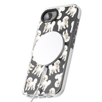 Bichon frisé aquarelle