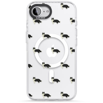 Border Collie Pattern Clear