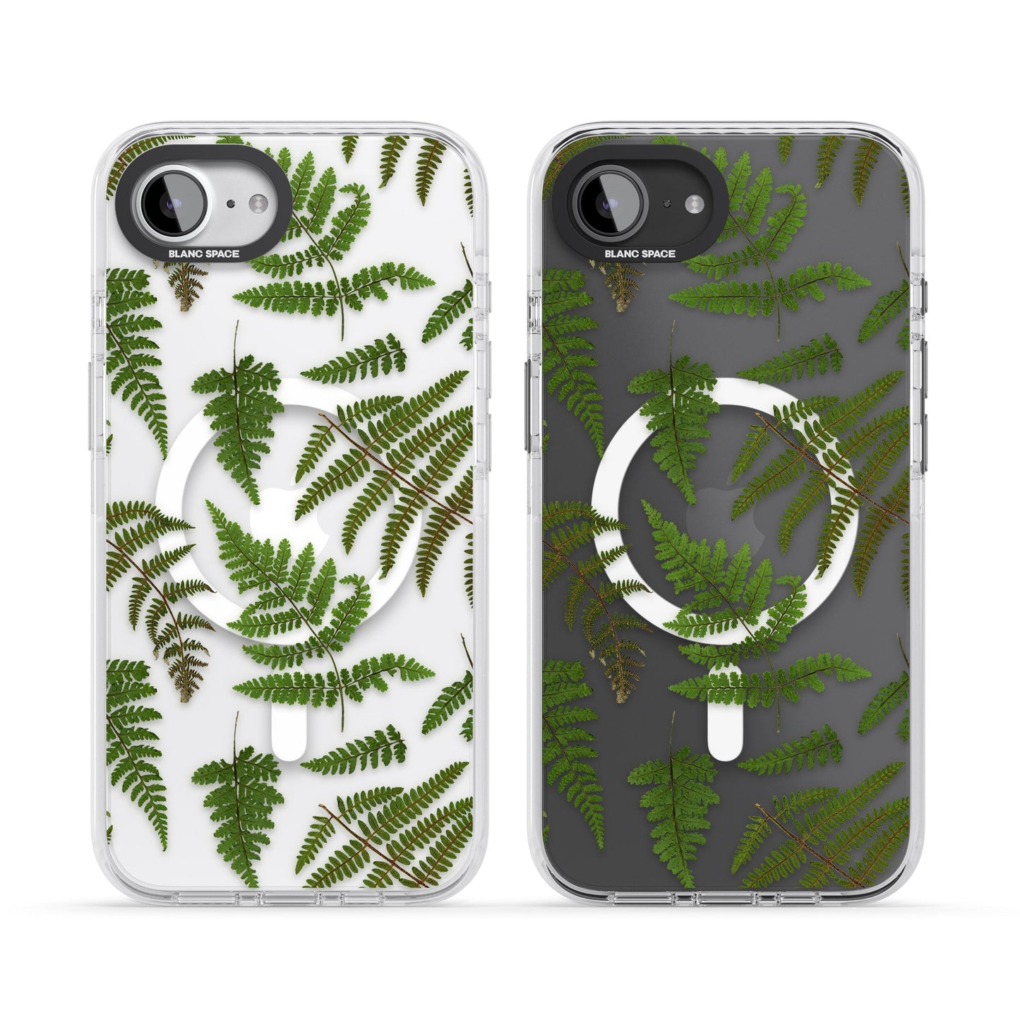 Leafy Ferns