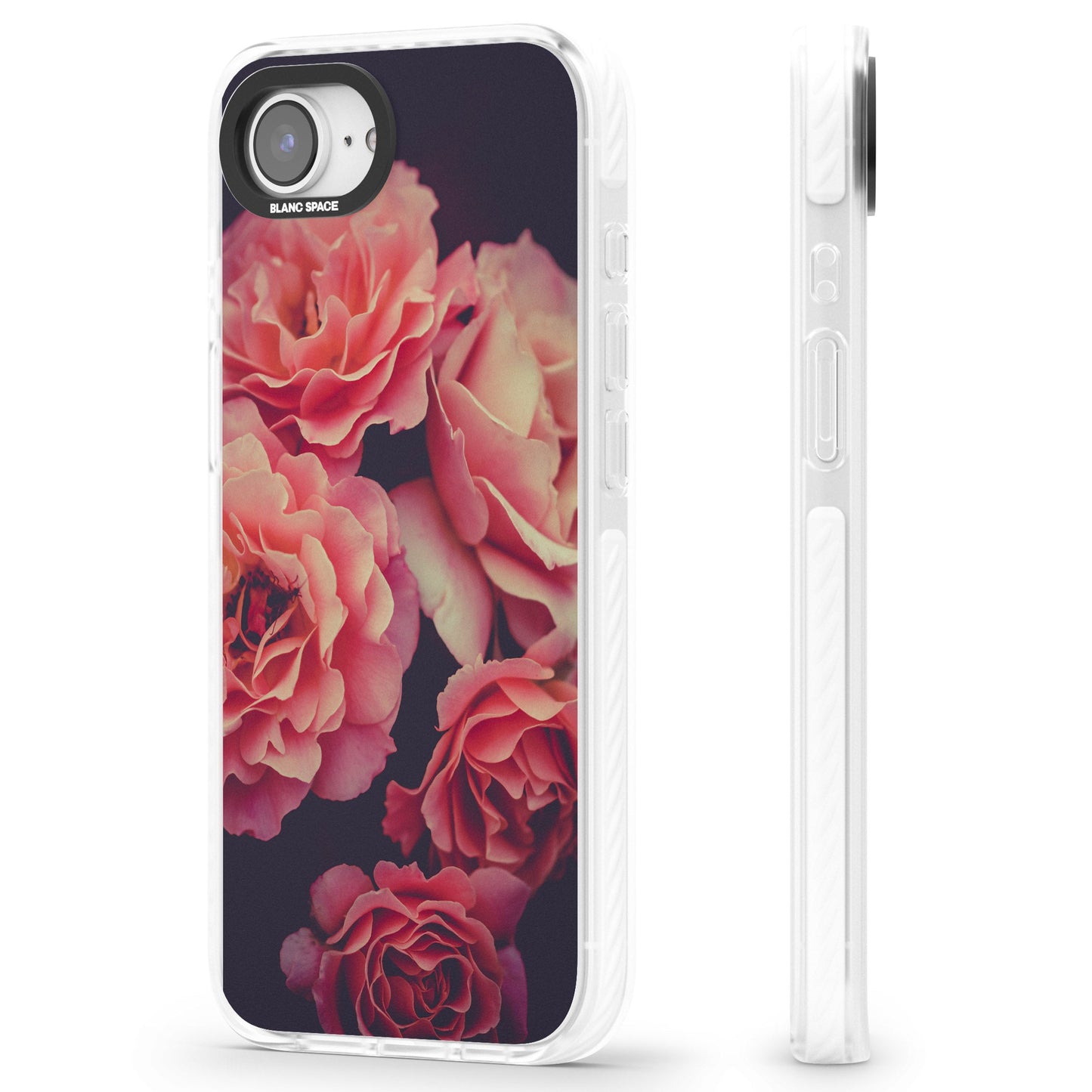 Mitternachtsrosenblüte