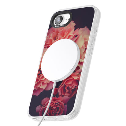 Mitternachtsrosenblüte