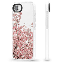 Cherry Blossom Bloom