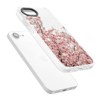 Cherry Blossom Bloom