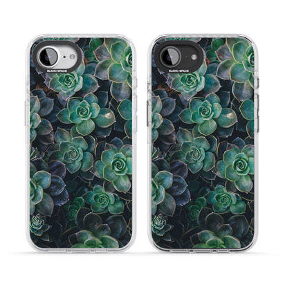 Succulent Bloom Botanical