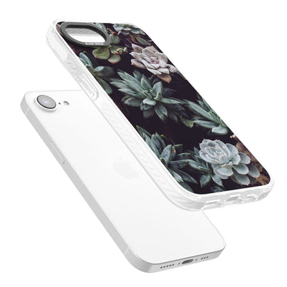 Succulent Bloom Mixed