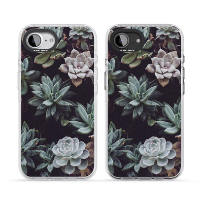 Succulent Bloom Mixed