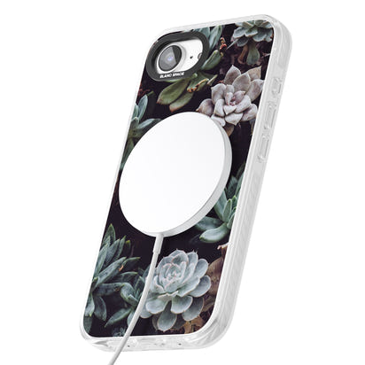 Succulent Bloom Mixed