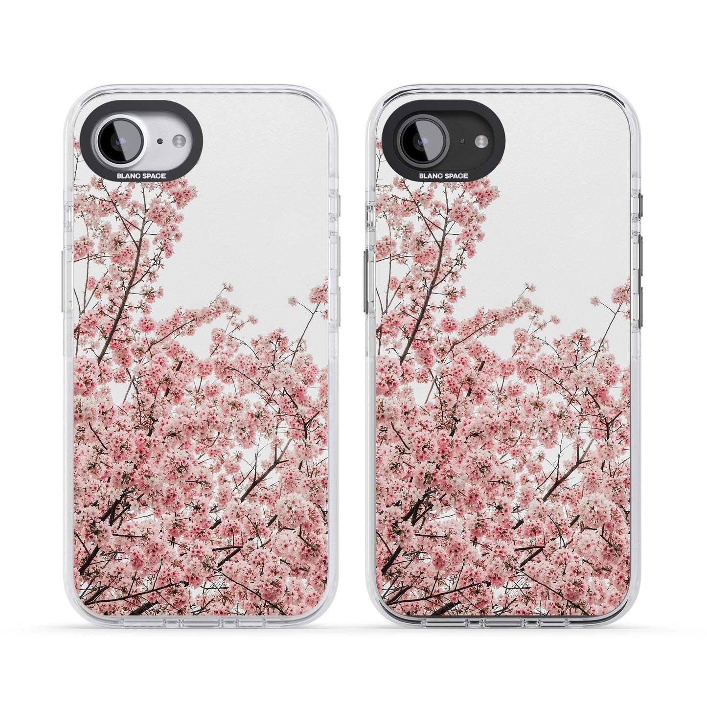 Cherry Blossom Bloom