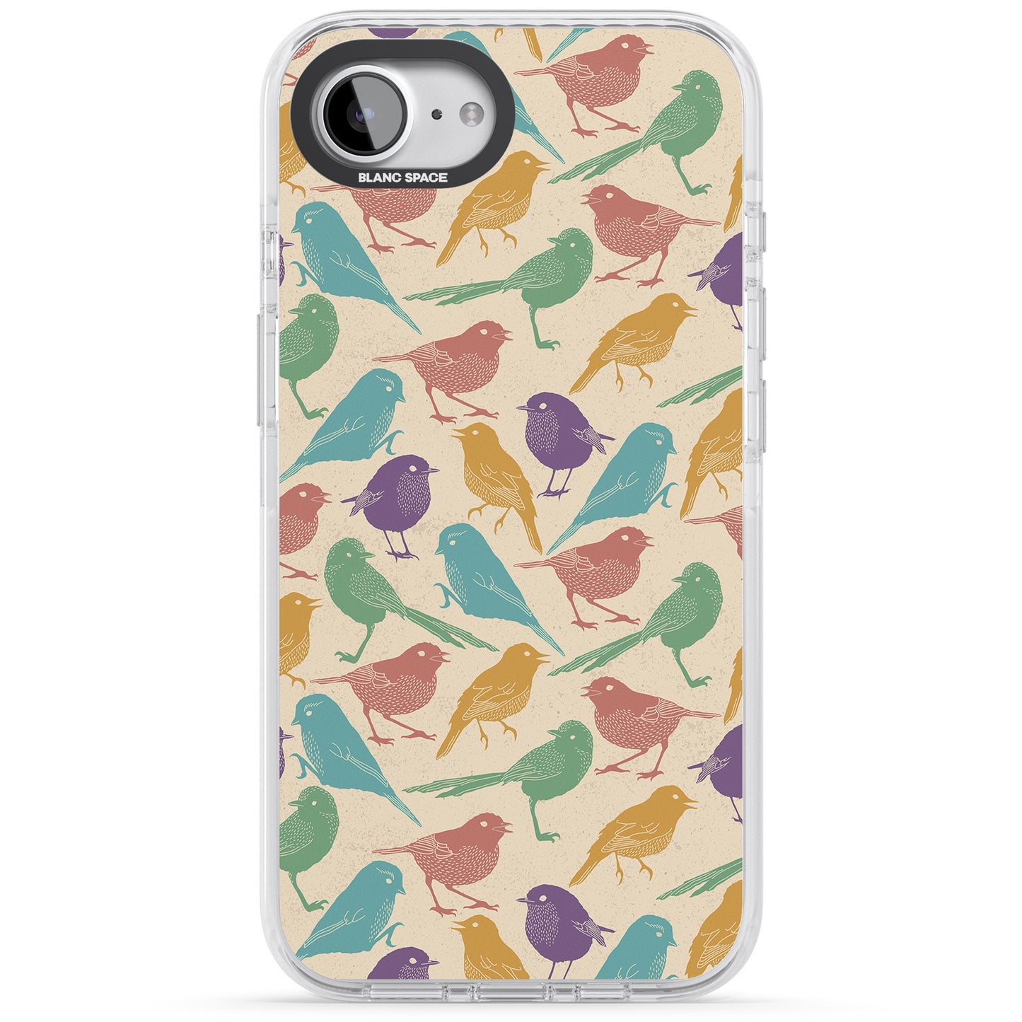 Colorful Feathered Friends