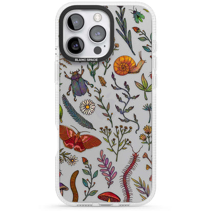 Insectes et fleurs sauvages