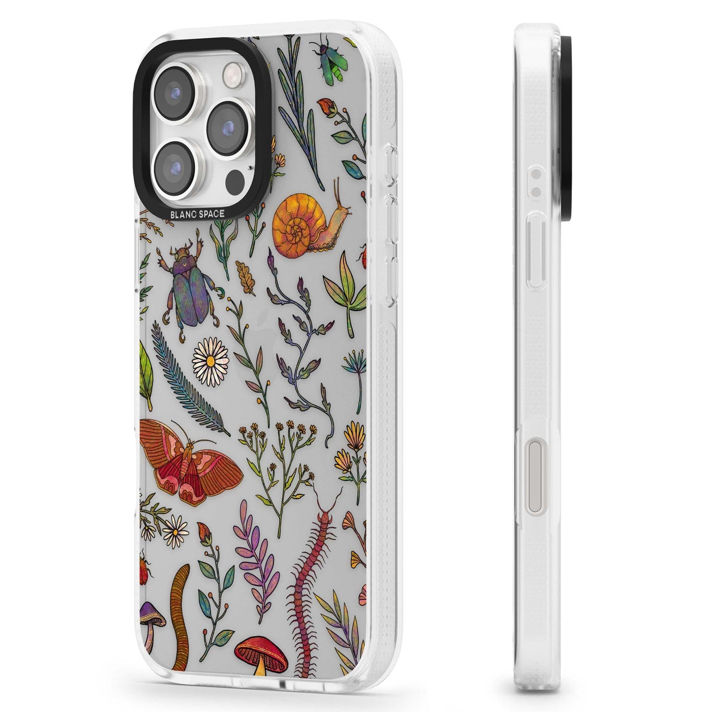 Insectes et fleurs sauvages