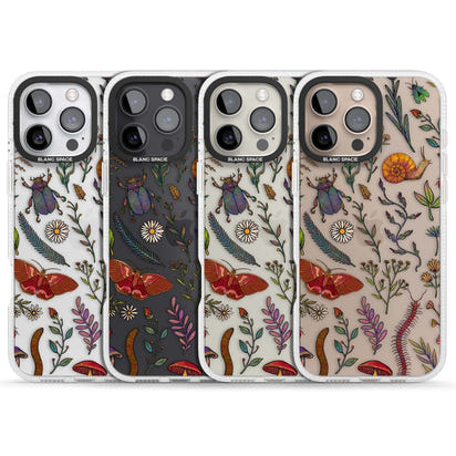 Insectes et fleurs sauvages