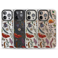 Insectes et fleurs sauvages