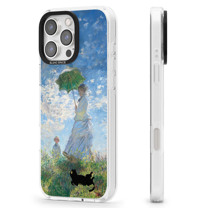 Cat with Monet's Parasol Lady