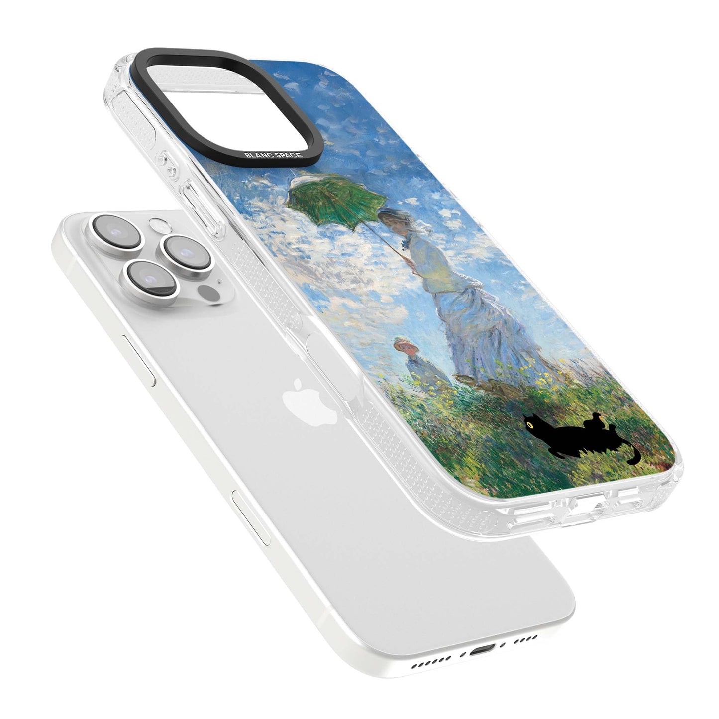 Cat with Monet's Parasol Lady