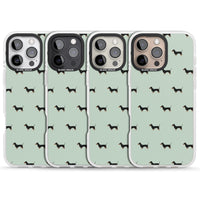 Dachshund Dog Pattern