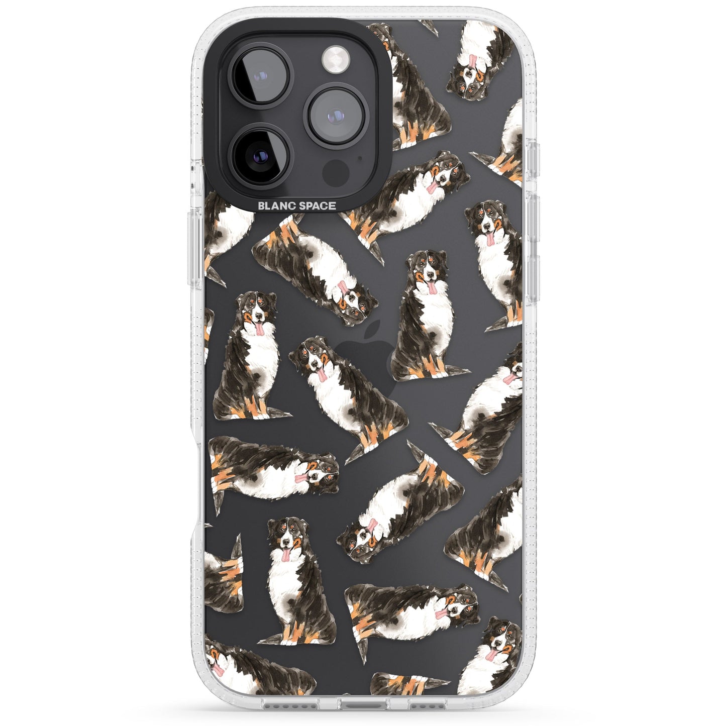 Motif du Bouvier Bernois