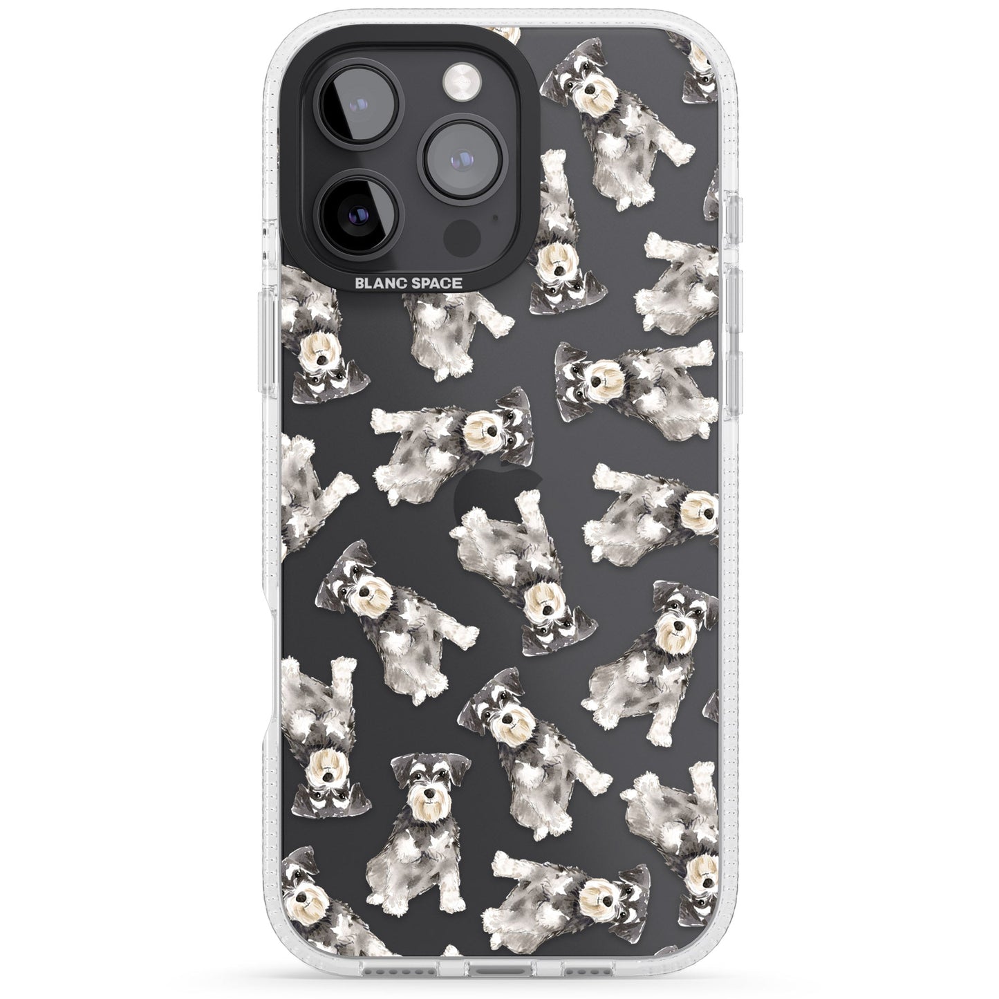 Aquarellzeichnung eines Zwergschnauzers