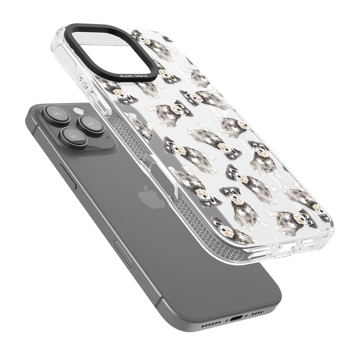 Aquarellzeichnung eines Zwergschnauzers