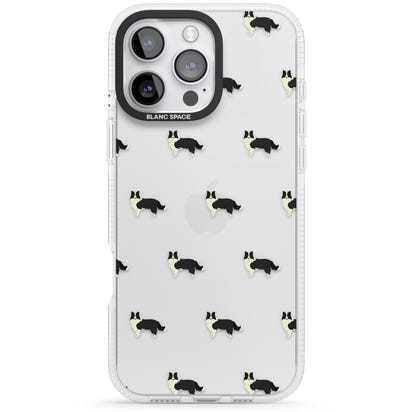 Border Collie Pattern Clear
