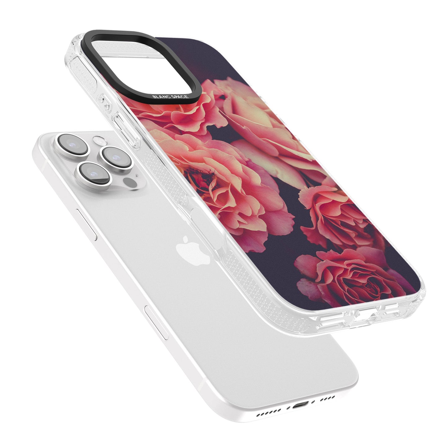 Mitternachtsrosenblüte