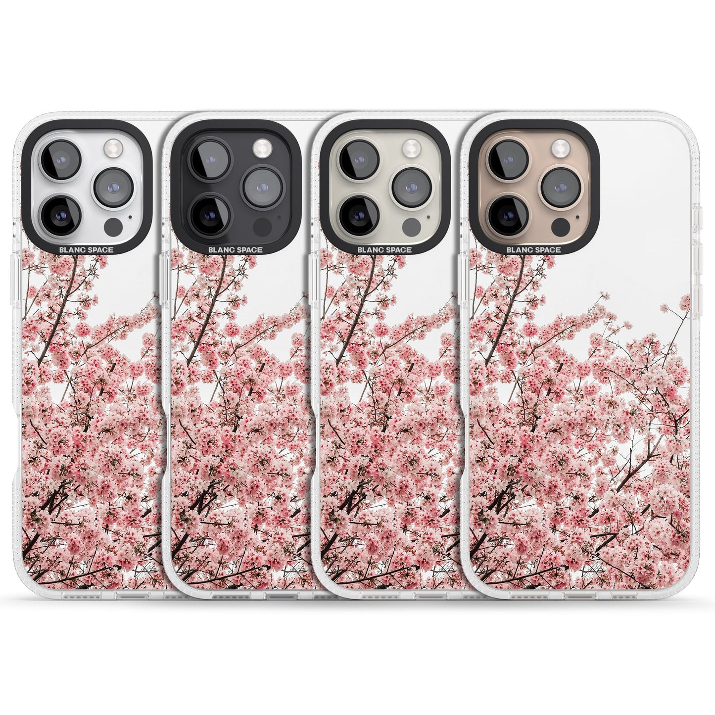Cherry Blossom Bloom