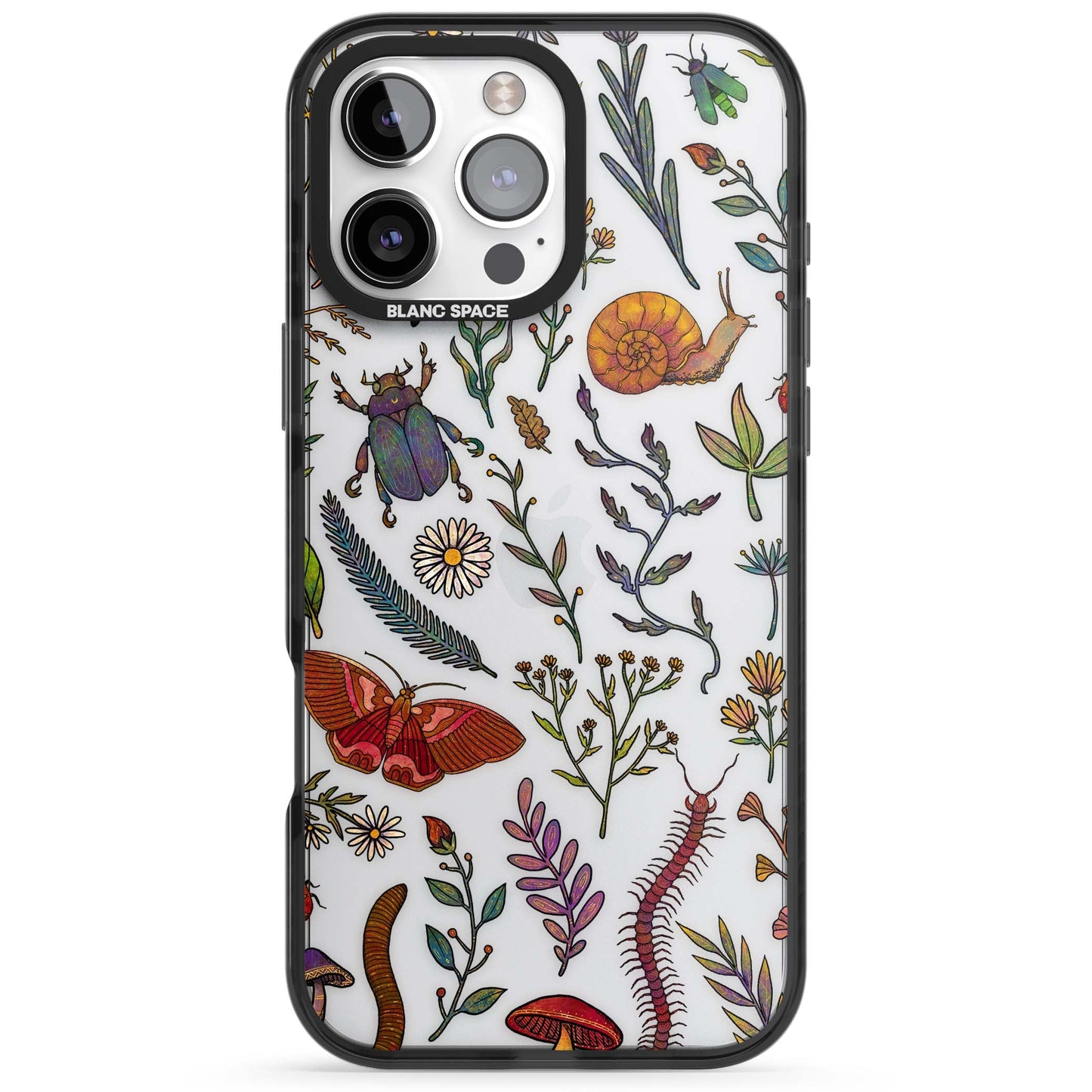 Insectes et fleurs sauvages