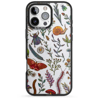 Insectes et fleurs sauvages