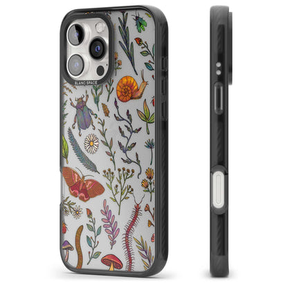 Insectes et fleurs sauvages