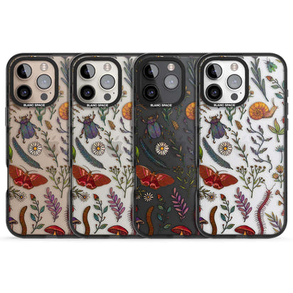 Insectes et fleurs sauvages