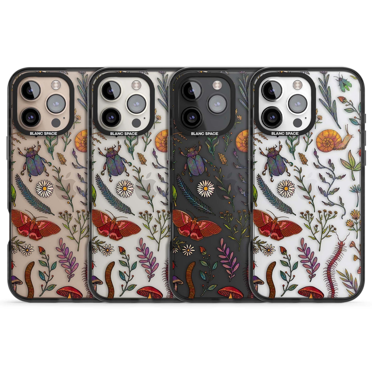 Insectes et fleurs sauvages