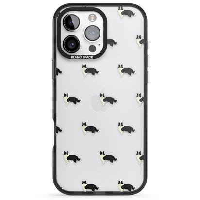 Border Collie Pattern Clear