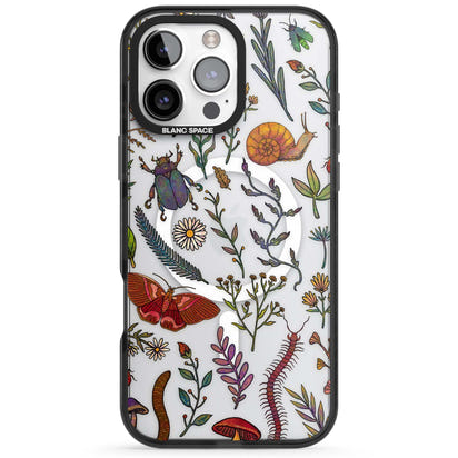 Insectes et fleurs sauvages